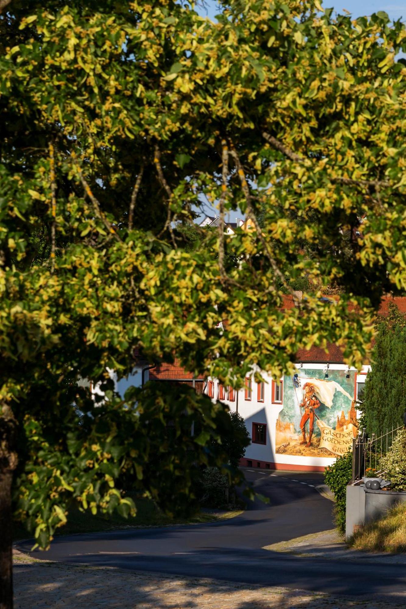 Wirtshaus & Hotel Goldener Greif Edelsfeld Экстерьер фото